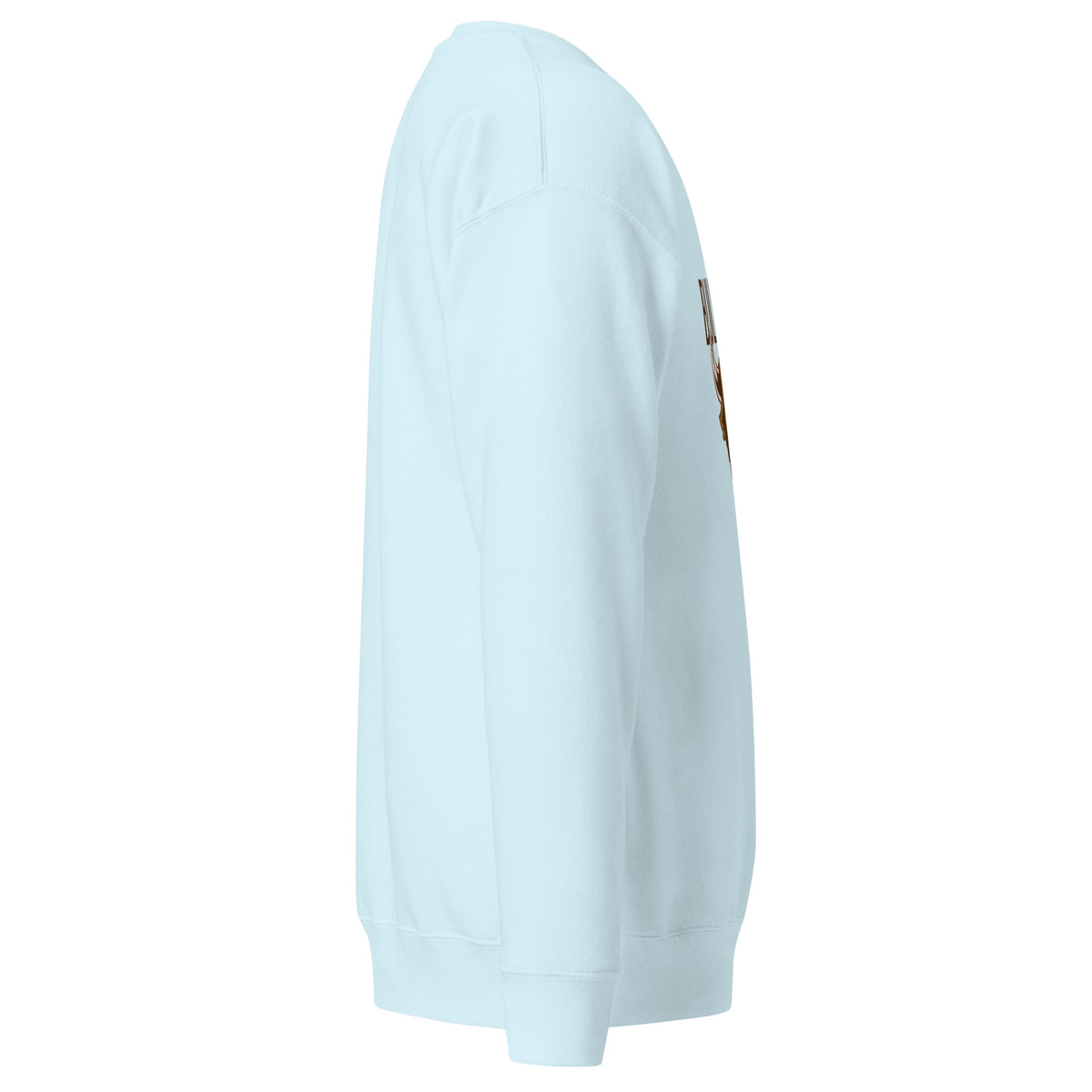 Unisex Premium Sweatshirt, Sweatshirt - PratSN
