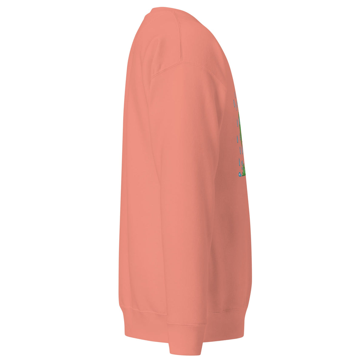 Unisex Premium Sweatshirt, Sweatshirt - PratSN