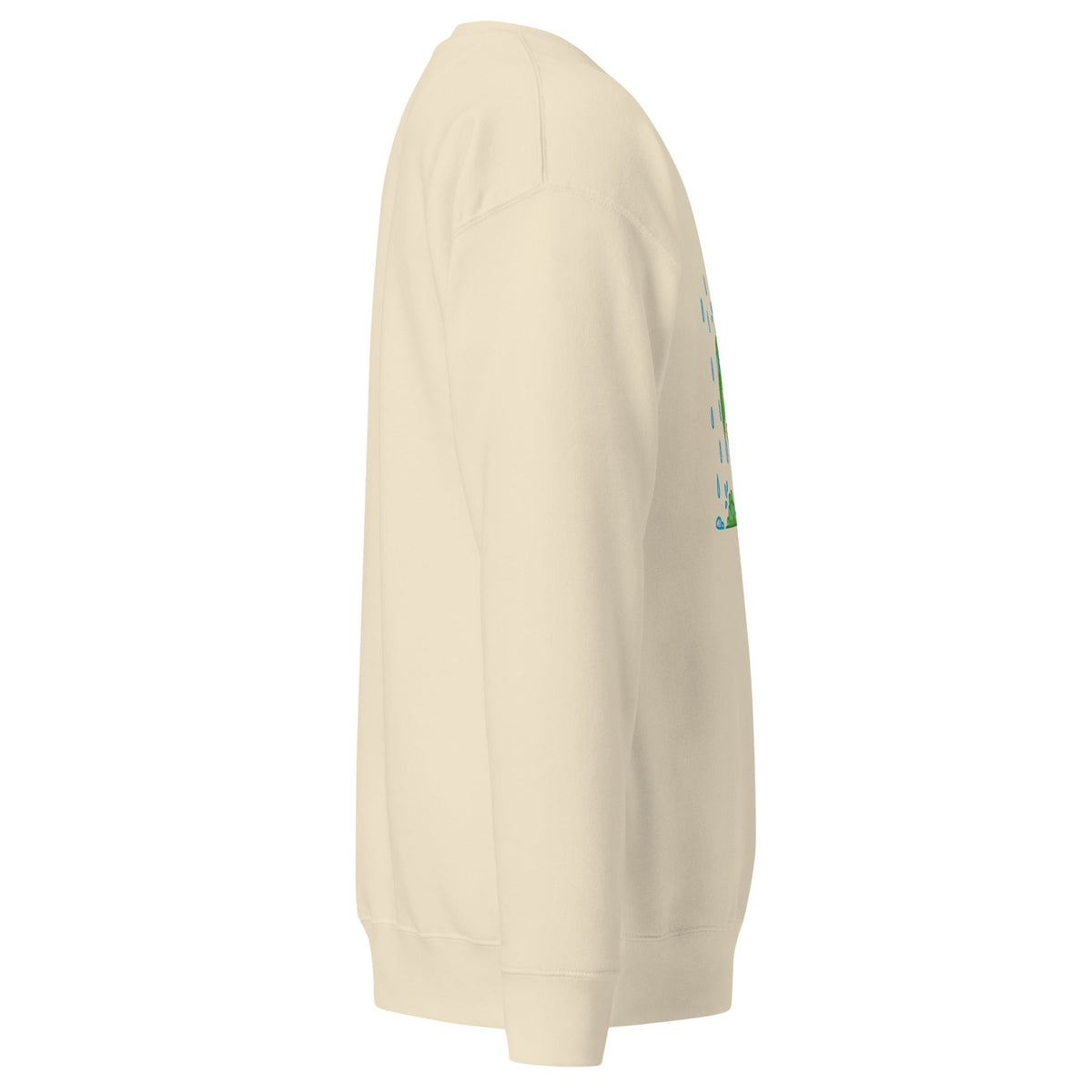 Unisex Premium Sweatshirt, Sweatshirt - PratSN