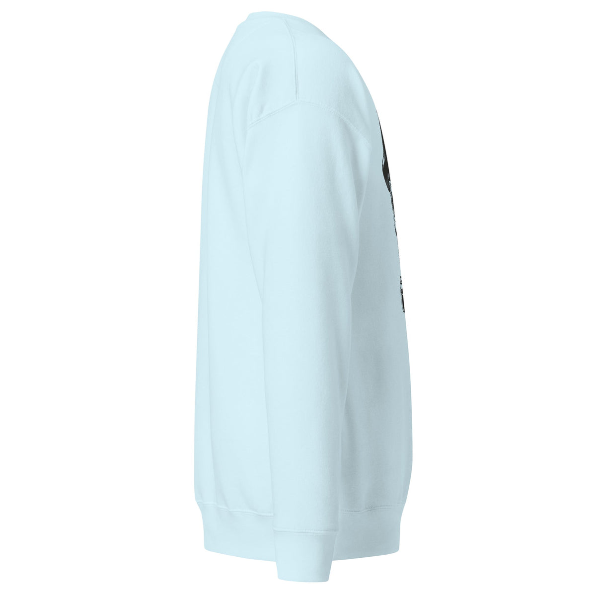 Unisex Premium Sweatshirt, Sweatshirt - PratSN