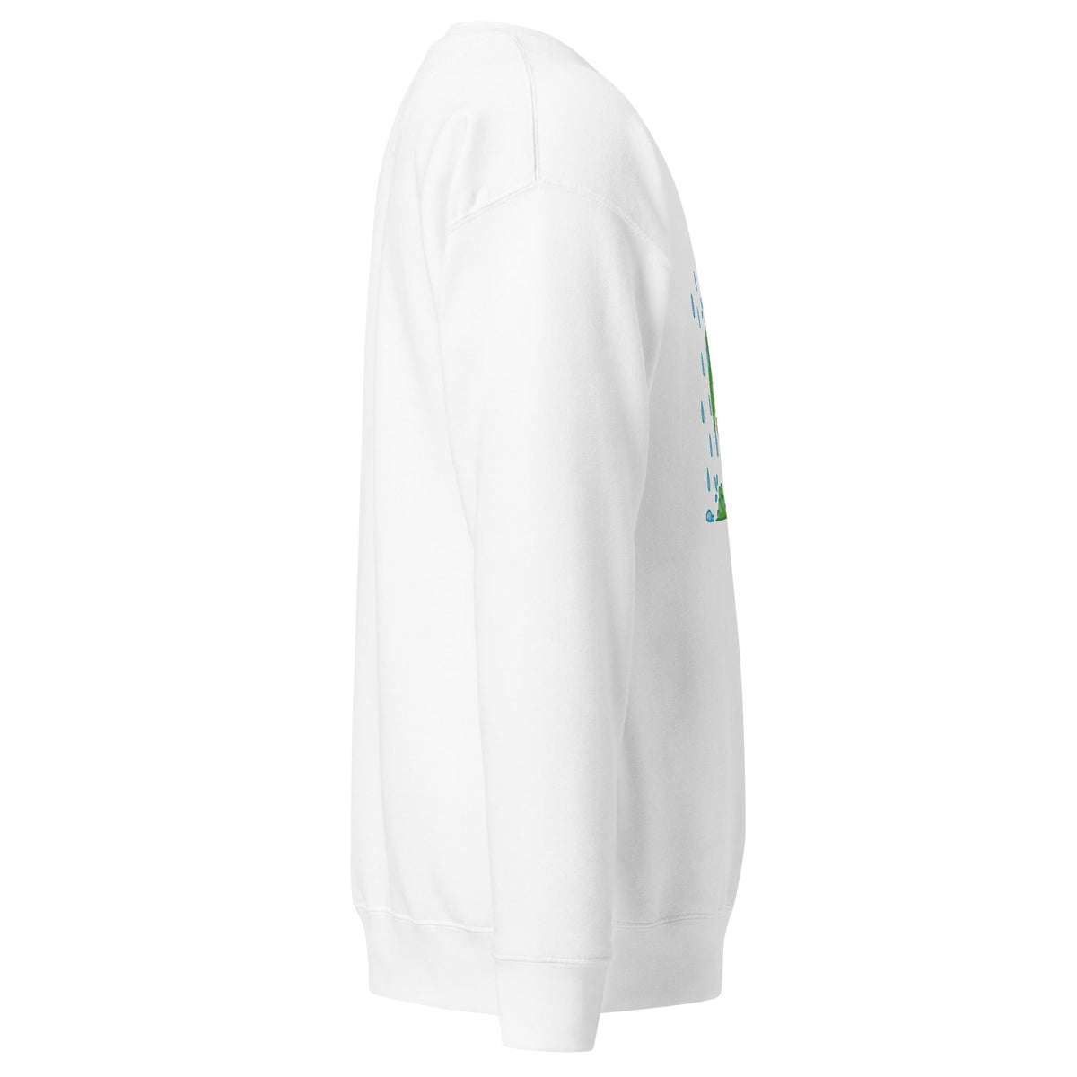 Unisex Premium Sweatshirt, Sweatshirt - PratSN