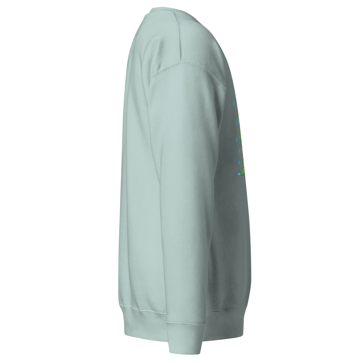 Unisex Premium Sweatshirt, Sweatshirt - PratSN