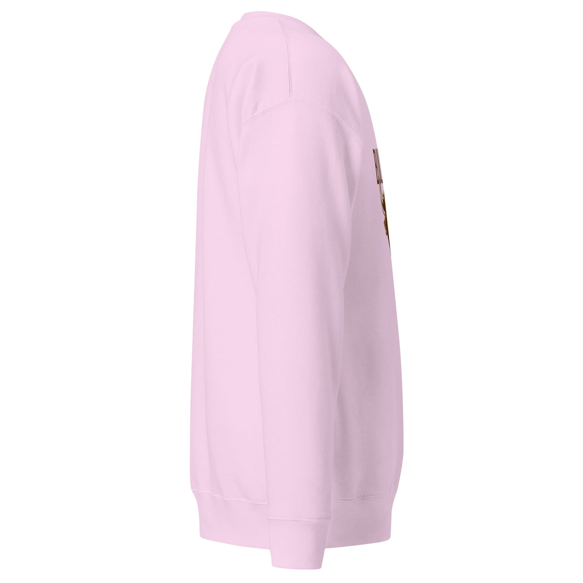 Unisex Premium Sweatshirt, Sweatshirt - PratSN