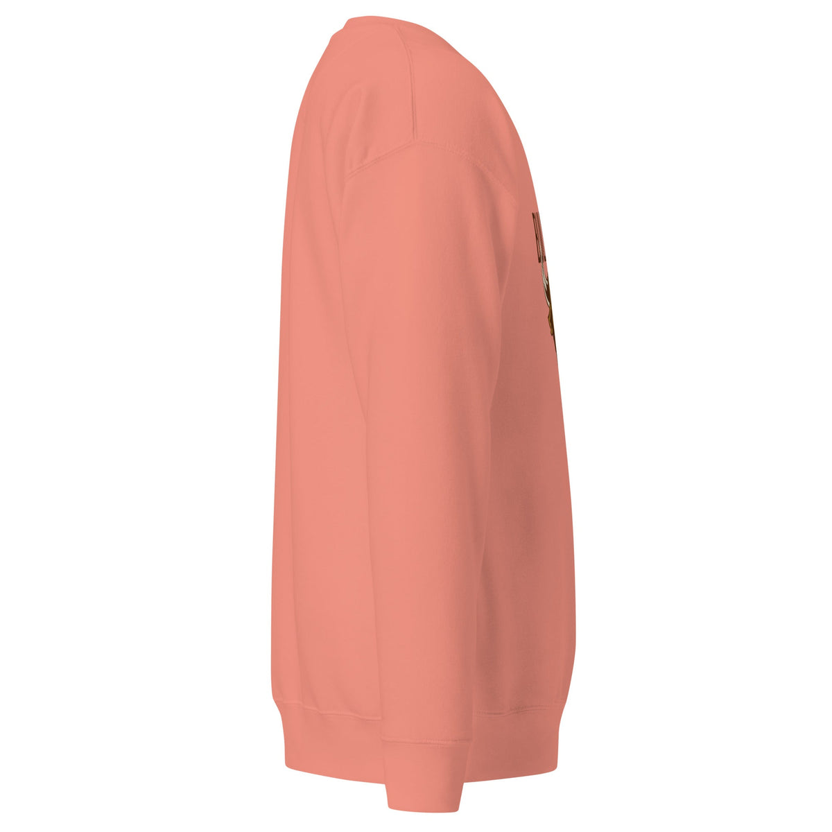 Unisex Premium Sweatshirt, Sweatshirt - PratSN