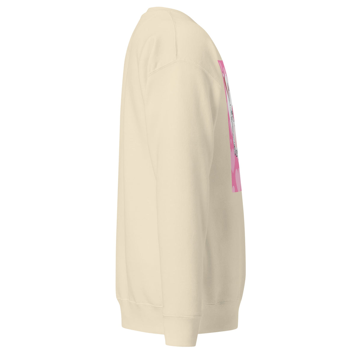 Unisex Premium Sweatshirt, Sweatshirt - PratSN