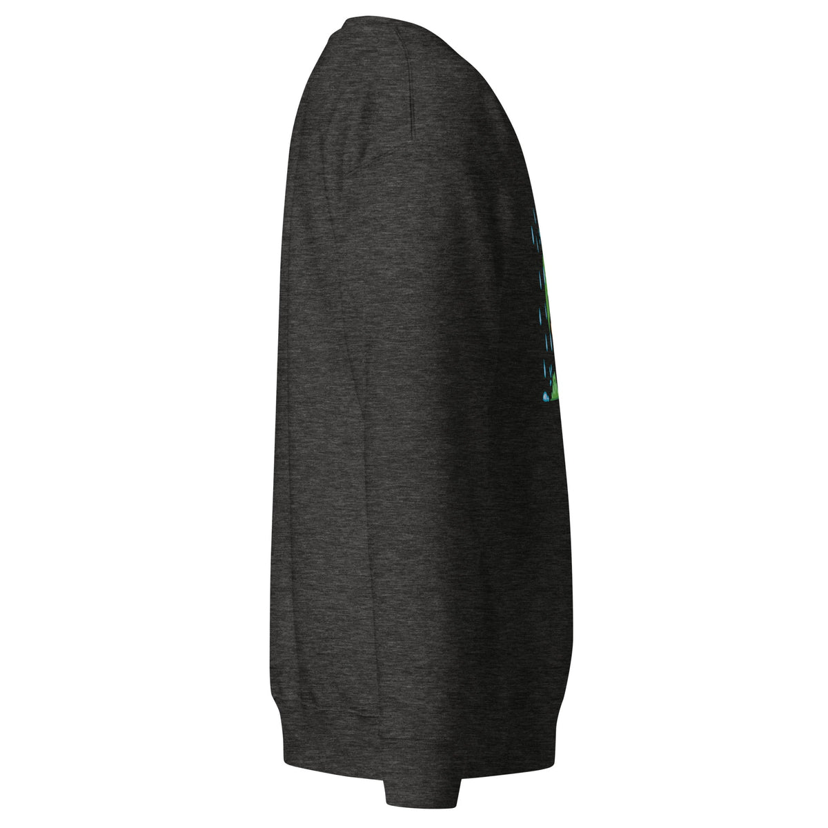 Unisex Premium Sweatshirt, Sweatshirt - PratSN