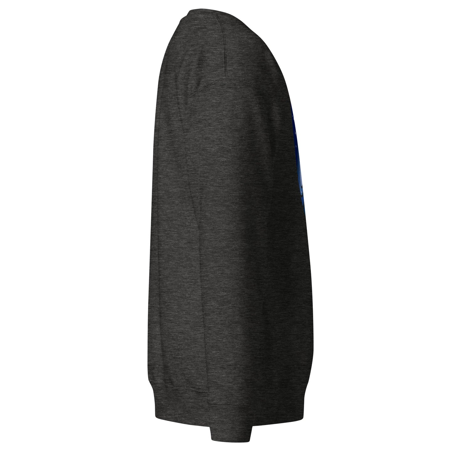 Unisex Premium Sweatshirt, Sweatshirt, Classic Sweatshirt - PratSN