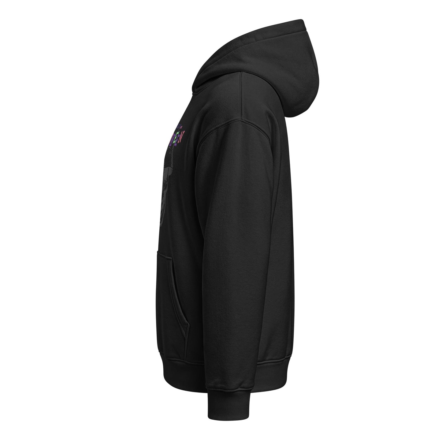 Unisex relaxed mid-weight hooded sweatshirt - PratSN