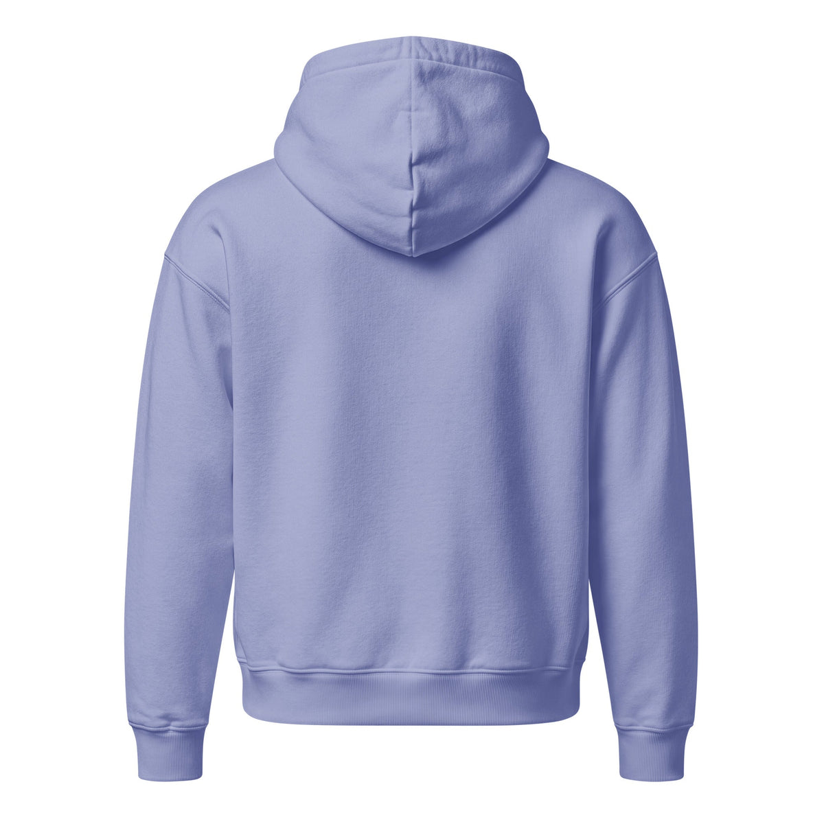 Unisex relaxed mid-weight hooded sweatshirt - PratSN