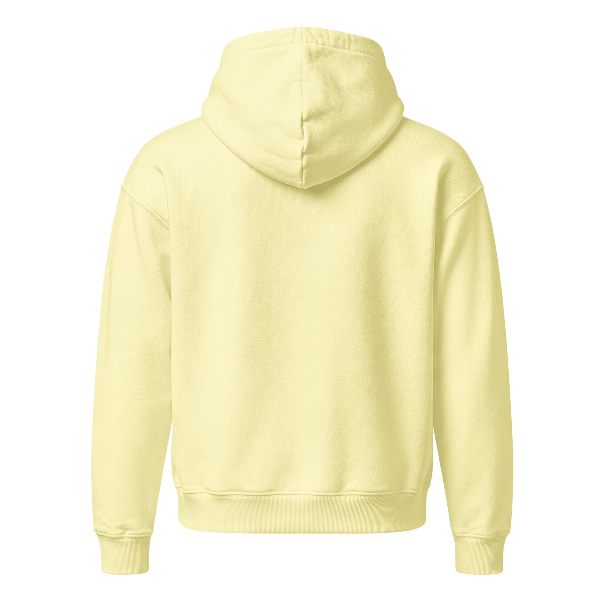 Unisex relaxed mid-weight hooded sweatshirt - PratSN