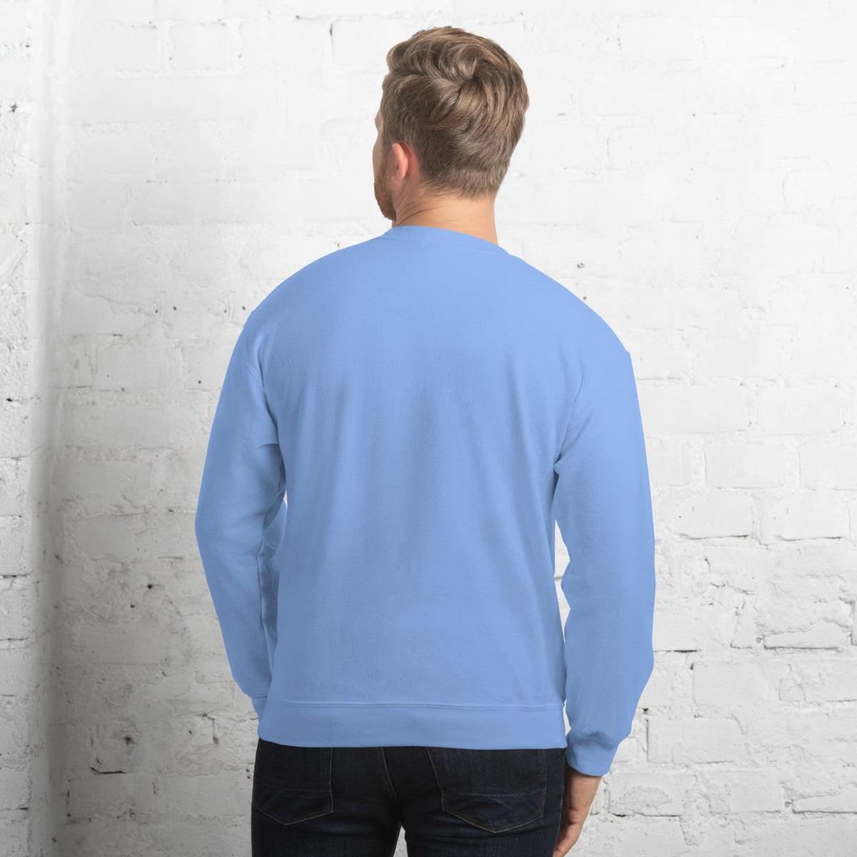 Unisex Sweatshirt, Vintage Women's Sweatshirts, pullover sweatshirt cute sweatshirt trendy Men's sweatshirt Snowfall Sweatshirt - PratSN