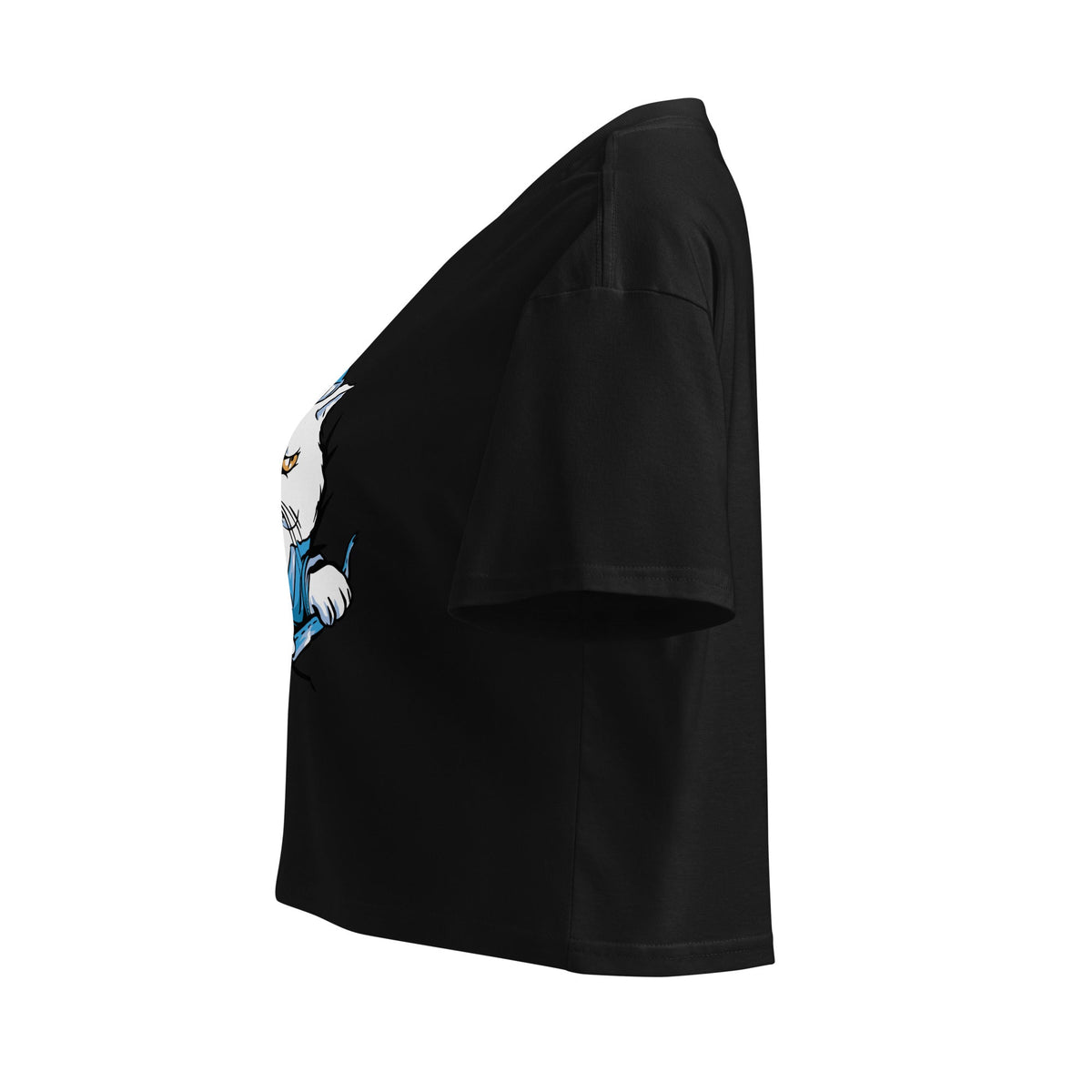 Women’s crop top - PratSN